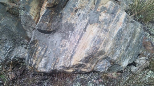 Гигантские зелёные валуны для ландшафтного дизайна весом более 5 тонн купить в Советском